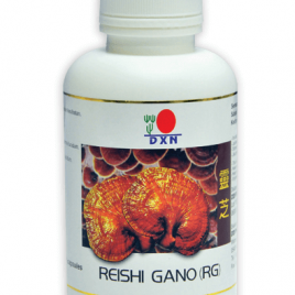 Pecsétviaszgomba Kapszula RG-360 13 RG360 ganoderma gyogygomba kapszula