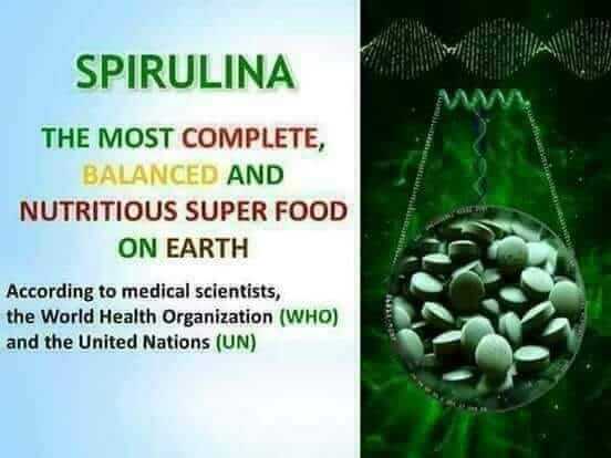 DXN spirulina-SUPERFOOD a komplett és kiegyensúlyozott táplálkozás alapja