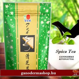 SPICA TEA GANODERMA KIVONATTAL