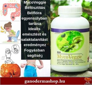 MycoVeggie gyógynövénykeverék gyógynövények, gombák, zöldségek, gyümölcsök, valamint kínai zöld tea és spirulina keveréke
