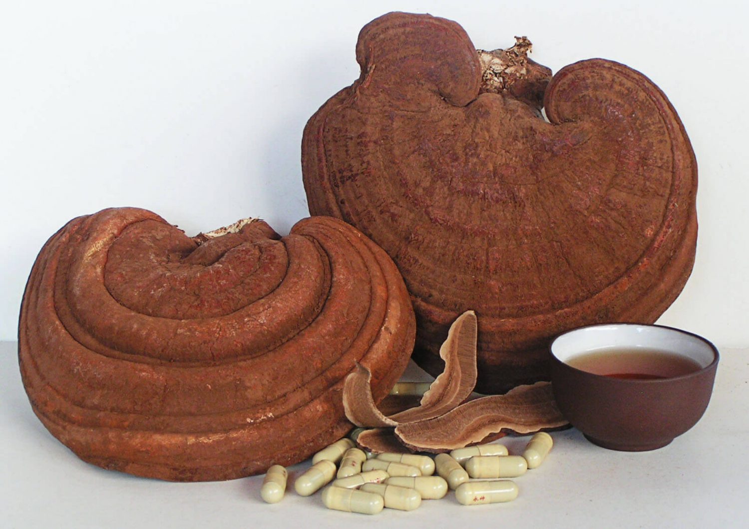 ganoderma lucidum is ingredient in ganocafe 24