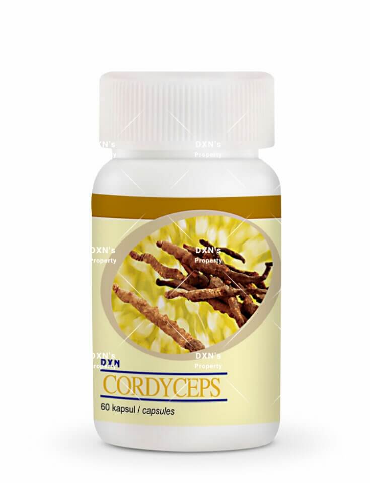 Cordyceps, az öregedésgátló | Gyógyszer Nélkül