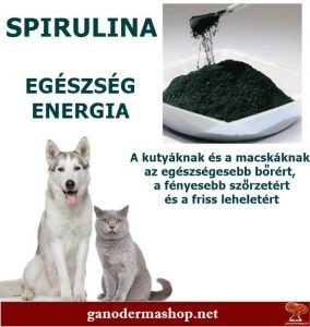 https://super.dxnshop.hu/dxnshop/webphp/product-detail.php?prodid=HF066&ctry=Hungary&category=%C3%89trend-kieg%C3%A9sz%C3%ADt%C5%91k Spirulina por 50 g A kutyáknak és a macskáknak az egészségesebb bőrért, fényesebb szőrzetért friss leheletért