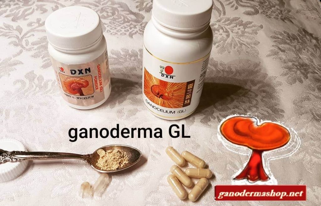 DXN Pecsétviaszgomba kapszula és pecsétviaszgomba por összehasonlítása, ganoderma mire jó