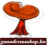 Ganodermashop.hu logo