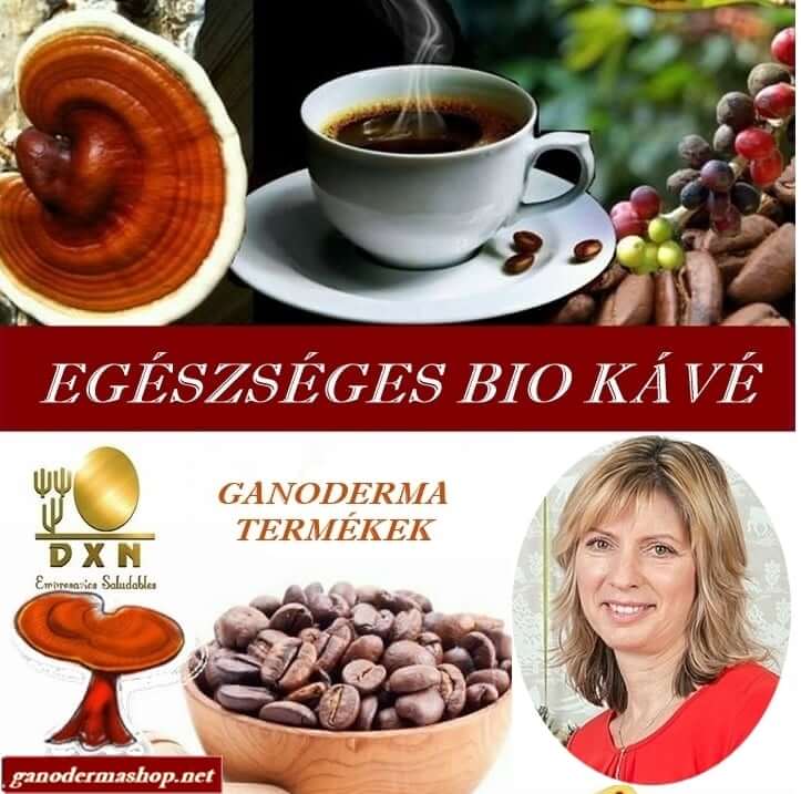 DXN KAPCSOLAT Egészséges bio kávé, ganoderma termékek ganodermashop.hu kapcsolat, DXN telefonszám